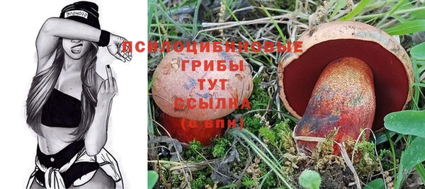 гидропоника Кодинск