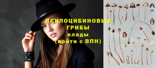 прущая мука Козловка