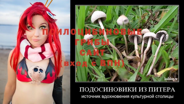 метадон Костерёво