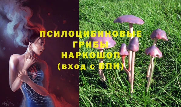 молекула духа Корсаков