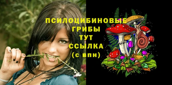 молекула духа Корсаков