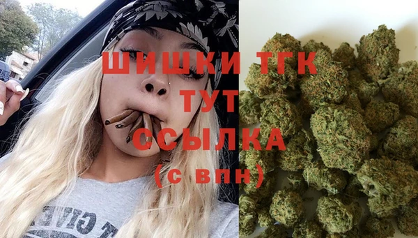 первитин Козельск