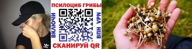 Купить где  Калининец  Псилоцибиновые грибы ЛСД 